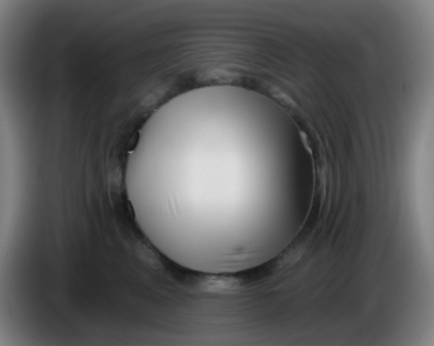 X0000085240617200703301749
