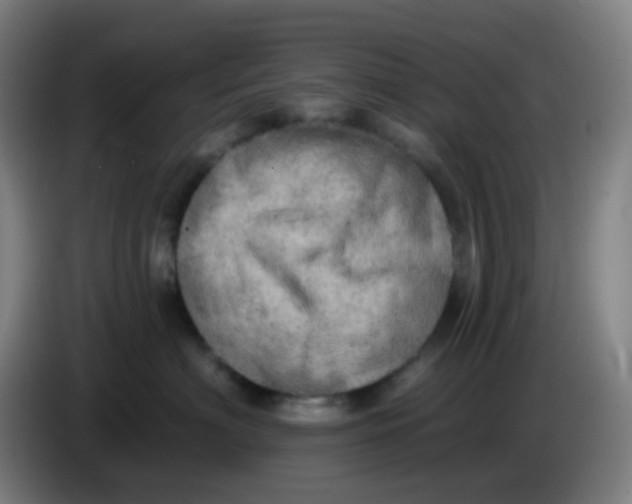 X0000085240622200703301749