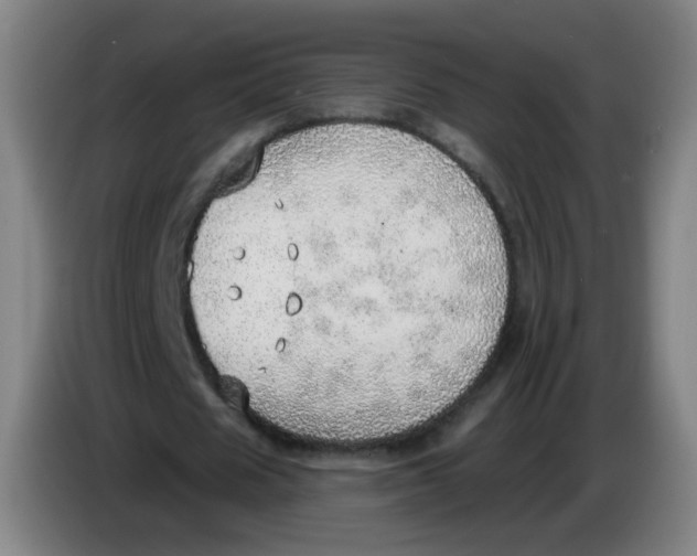 X0000085240625200703301748