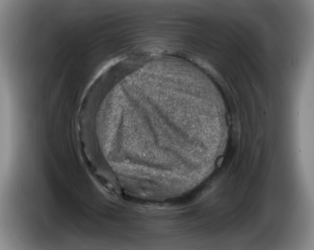 X0000085240626200703301748
