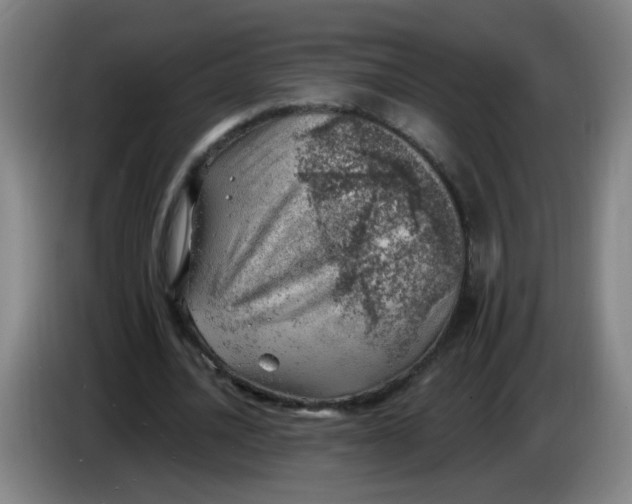 X0000085240628200703301748