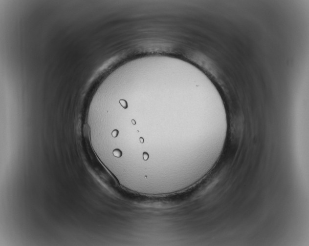 X0000085240629200703301748