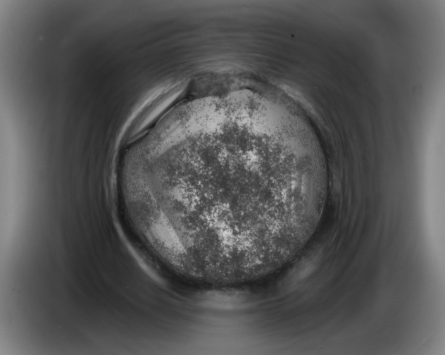 X0000085240630200703301748