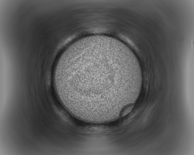 X0000085240631200703301748