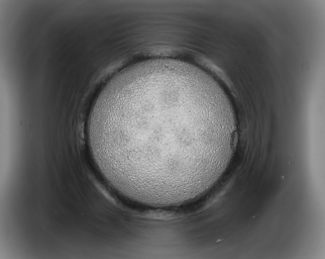 X0000085240633200703301748