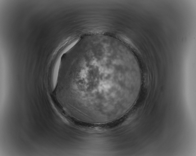 X0000085240634200703301748