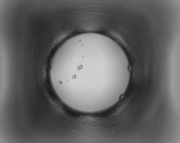 X0000085240635200703301748