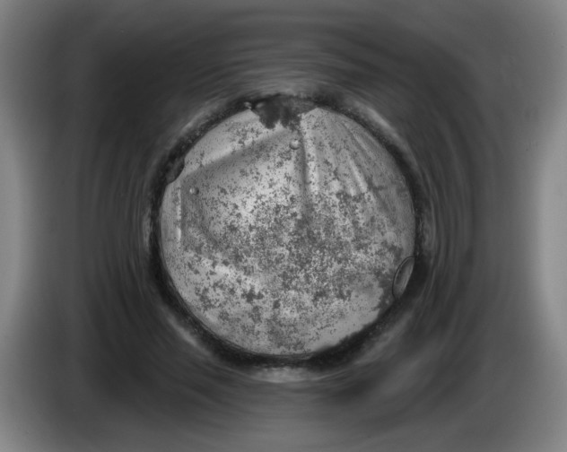 X0000085240637200703301748