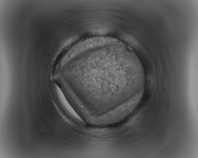 X0000085240638200703301748