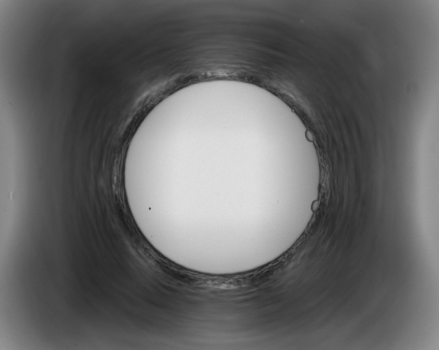 X0000085240640200703301748