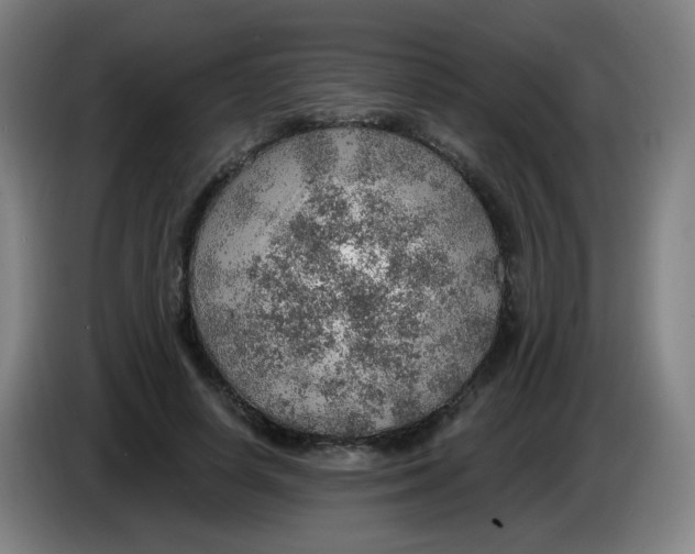 X0000085240642200703301748