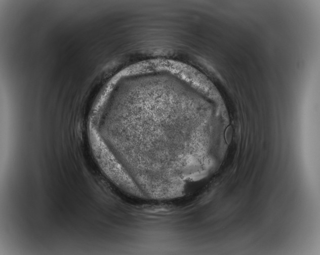 X0000085240643200703301748