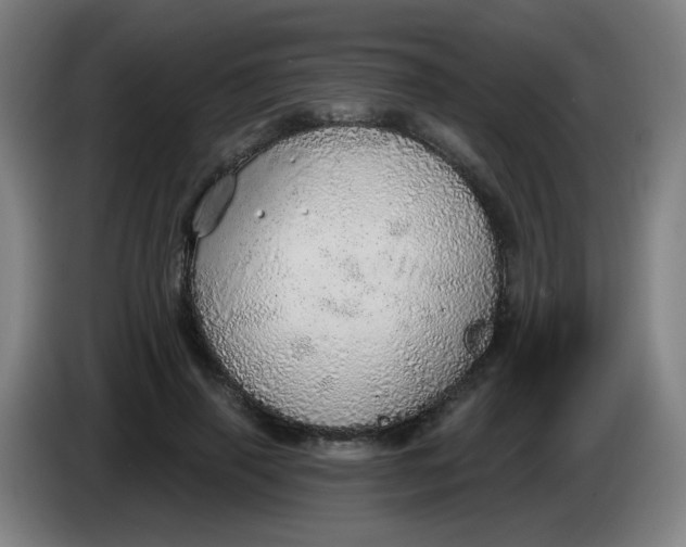 X0000085240645200703301748