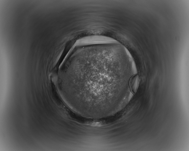 X0000085240647200703301748
