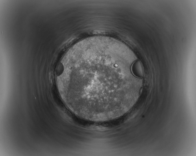 X0000085240648200703301748