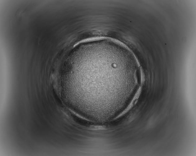 X0000085240649200703301748