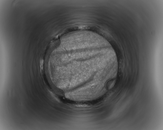 X0000085240650200703301748
