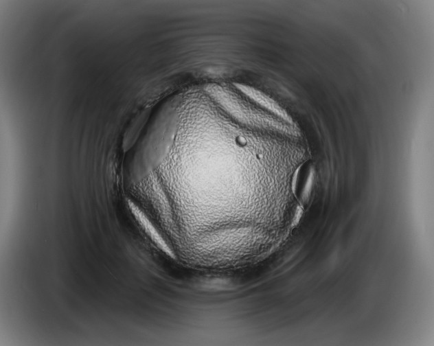 X0000085240651200703301748