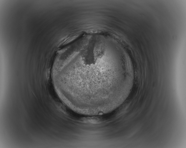 X0000085240652200703301748