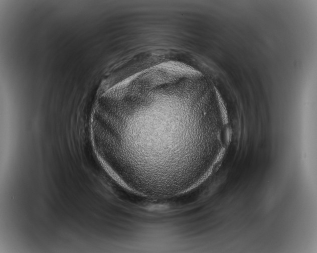 X0000085240653200703301748