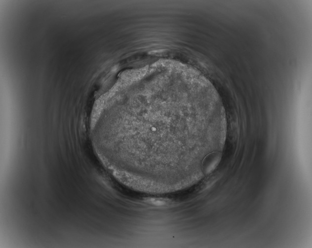 X0000085240654200703301748