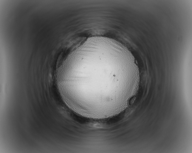 X0000085240655200703301748