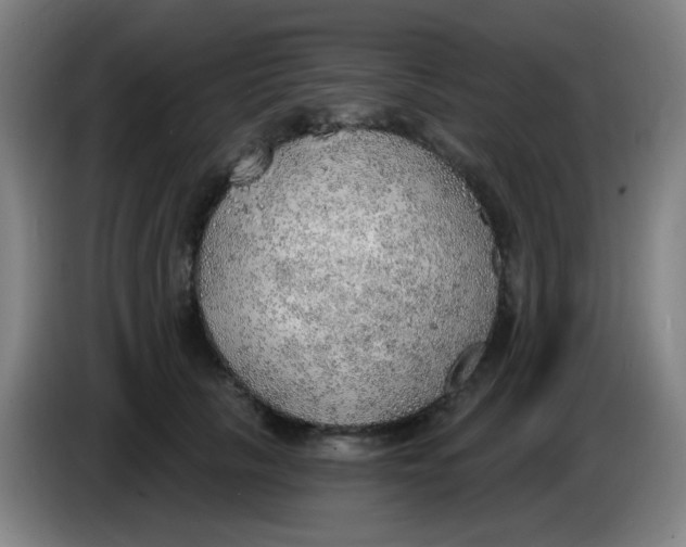 X0000085240657200703301749