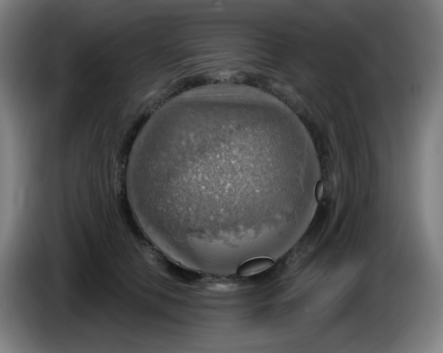 X0000085240658200703301749
