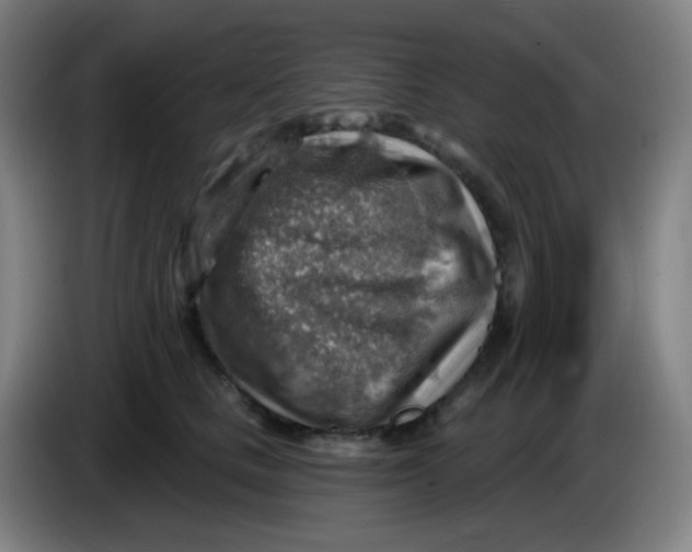 X0000085240661200703301749
