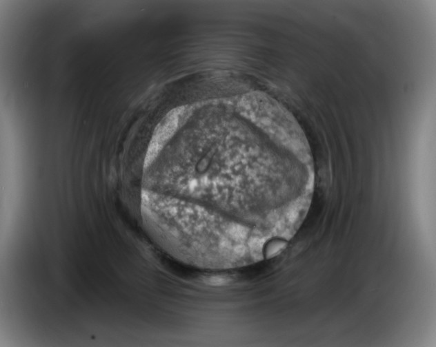 X0000085240662200703301749
