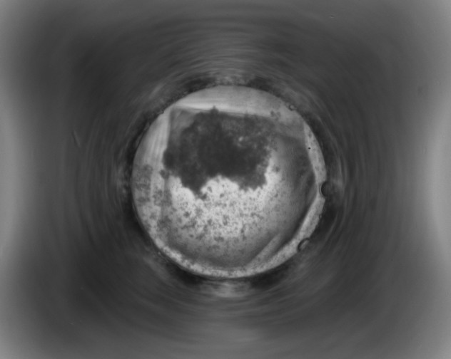 X0000085240663200703301749