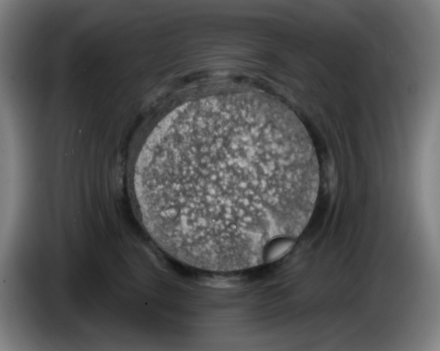 X0000085240664200703301749