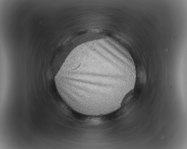 X0000085240665200703301749