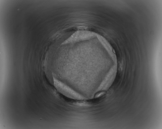 X0000085240666200703301749