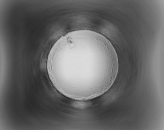 X0000085240672200703301749