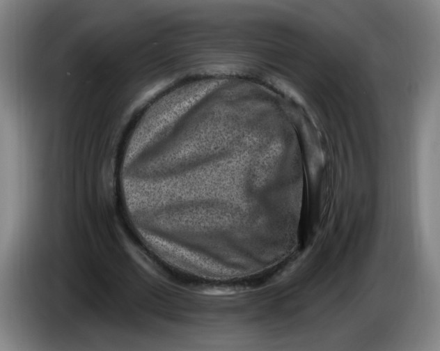 X0000085240677200703301748