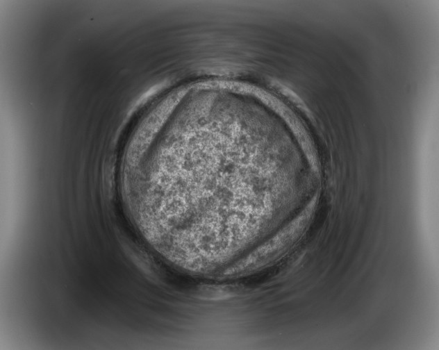 X0000085240679200703301748