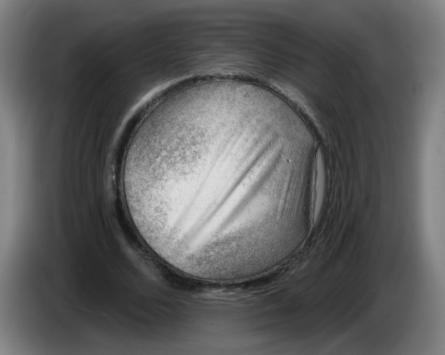X0000085240680200703301748
