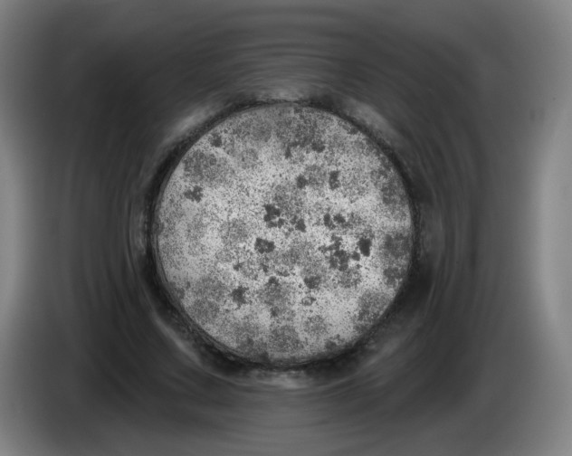 X0000085240683200703301748