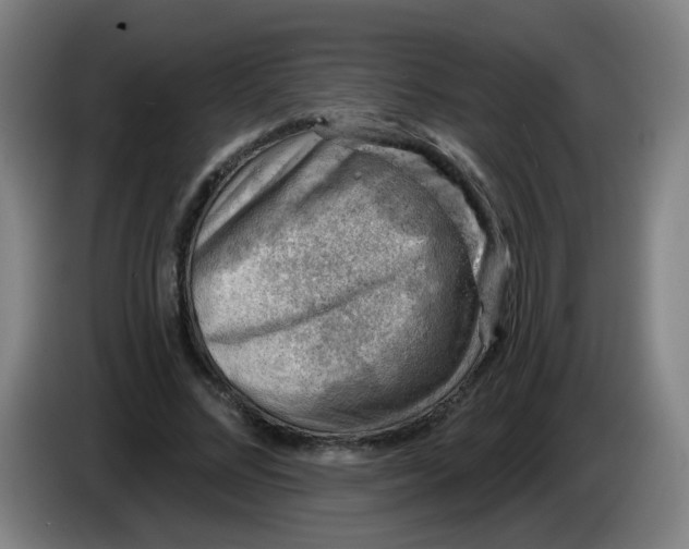X0000085240684200703301748