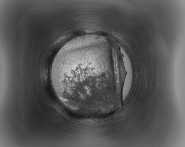 X0000085240691200703301748