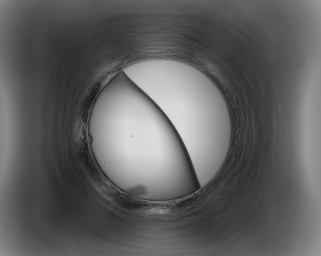 X0000085240692200703301748