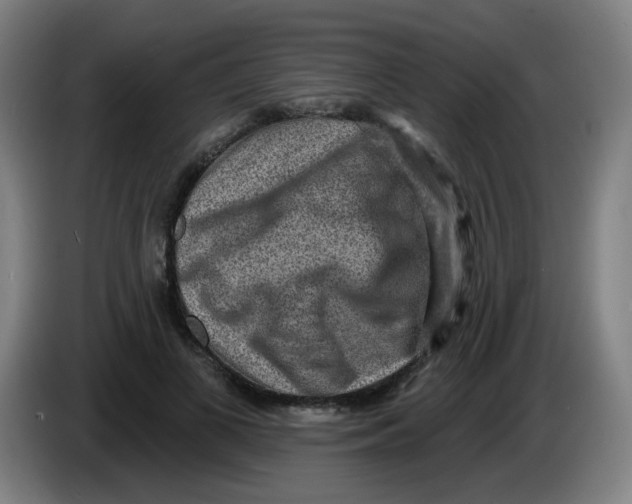 X0000085240693200703301748