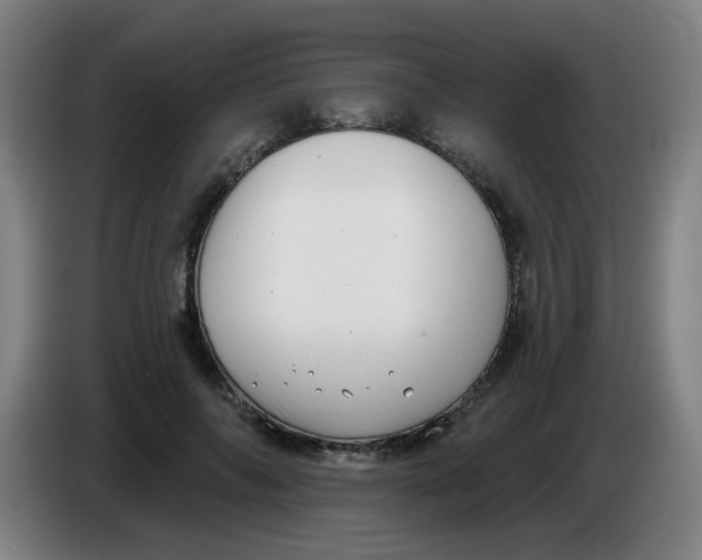 X0000085240694200703301748