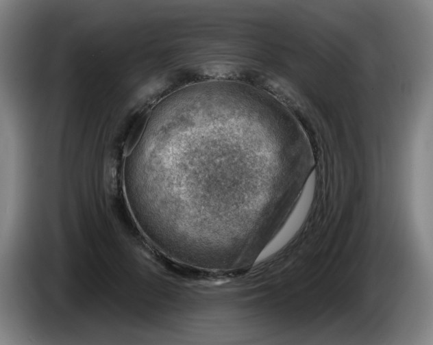 X0000085240696200703301748