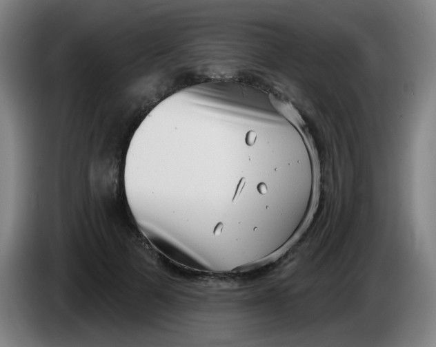 X0000085240697200703301748