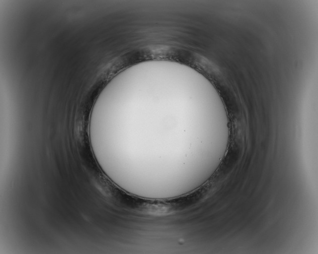 X0000085240698200703301748