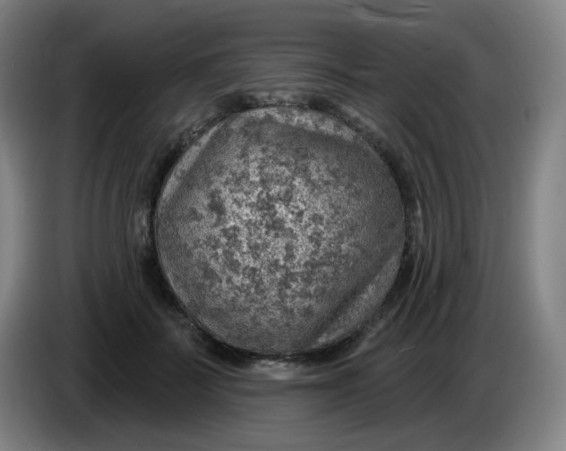 X0000085240699200703301748