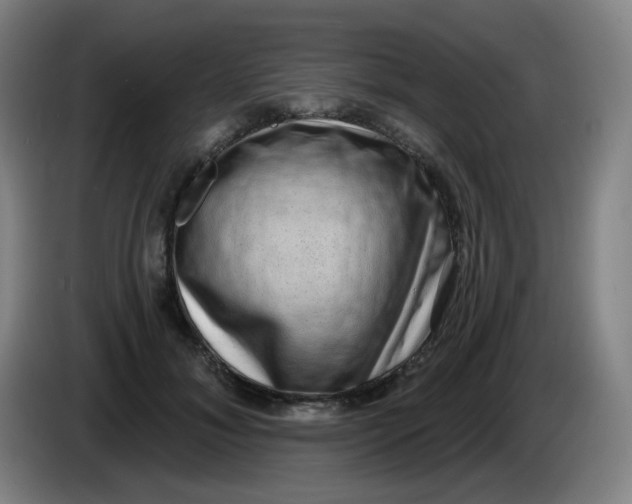 X0000085240700200703301748