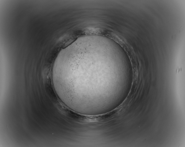 X0000085240701200703301748